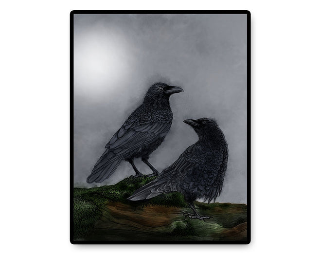 Fine Art Prints